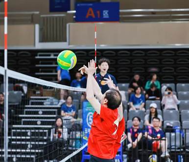 99c4fba3855653d9f538d7f44695be1